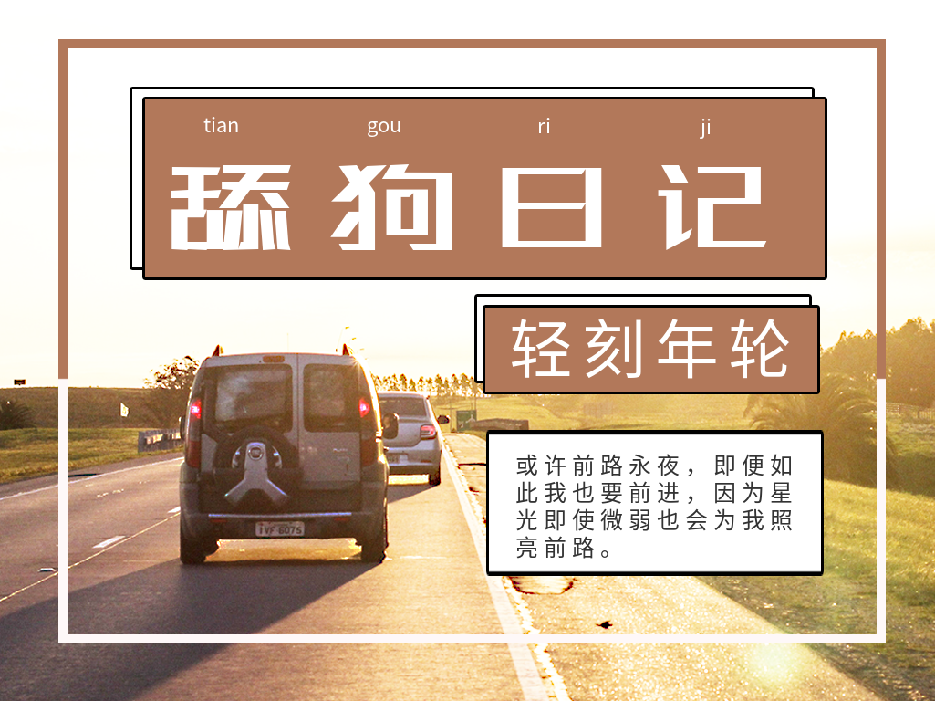 一言日记单身狗日记源码舔狗日记PHP源码只做有趣的源码资源下载-轻刻年轮